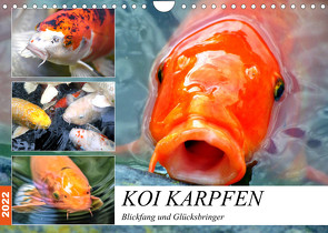 Koi Karpfen. Blickfang und Glücksbringer (Wandkalender 2022 DIN A4 quer) von Hurley,  Rose