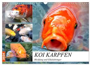 Koi Karpfen. Blickfang und Glücksbringer (Wandkalender 2024 DIN A3 quer), CALVENDO Monatskalender von Hurley,  Rose