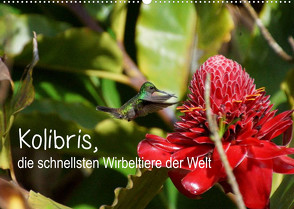 Kolibris, die schnellsten Wirbeltiere der Welt (Wandkalender 2022 DIN A2 quer) von M.Polok