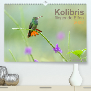 Kolibris – fliegende Elfen (Premium, hochwertiger DIN A2 Wandkalender 2022, Kunstdruck in Hochglanz) von Düsterhöft,  Falko