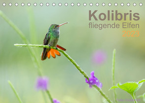 Kolibris – fliegende Elfen (Tischkalender 2023 DIN A5 quer) von Düsterhöft,  Falko