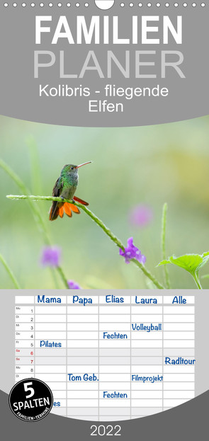 Familienplaner Kolibris – fliegende Elfen (Wandkalender 2022 , 21 cm x 45 cm, hoch) von Düsterhöft,  Falko