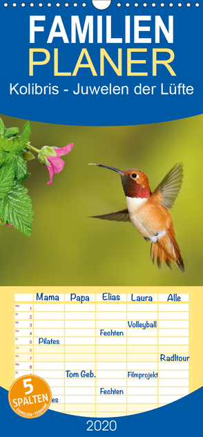 Kolibris – Juwelen der Lüfte – Familienplaner hoch (Wandkalender 2020 , 21 cm x 45 cm, hoch) von birdimagency,  BIA