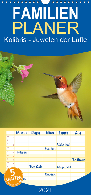 Kolibris – Juwelen der Lüfte – Familienplaner hoch (Wandkalender 2021 , 21 cm x 45 cm, hoch) von birdimagency,  BIA