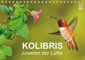 Kolibris – Juwelen der Lüfte (Tischkalender 2020 DIN A5 quer) von birdimagency,  BIA