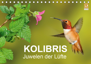 Kolibris – Juwelen der Lüfte (Tischkalender 2021 DIN A5 quer) von birdimagency,  BIA