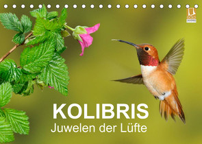 Kolibris – Juwelen der Lüfte (Tischkalender 2022 DIN A5 quer) von birdimagency,  BIA