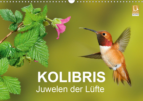 Kolibris – Juwelen der Lüfte (Wandkalender 2020 DIN A3 quer) von birdimagency,  BIA