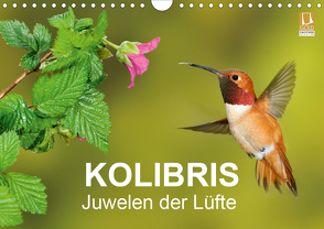 Kolibris – Juwelen der Lüfte (Wandkalender 2020 DIN A4 quer) von birdimagency,  BIA