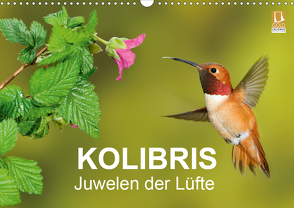 Kolibris – Juwelen der Lüfte (Wandkalender 2021 DIN A3 quer) von birdimagency,  BIA