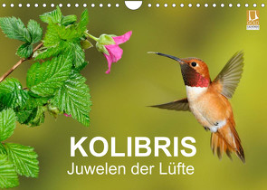 Kolibris – Juwelen der Lüfte (Wandkalender 2022 DIN A4 quer) von birdimagency,  BIA