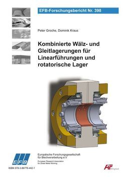 Kombinierte Wälz- und Gleitlagerungen für Linearführungen und rotatorische Lager von Groche,  Peter, Kraus,  Dominik