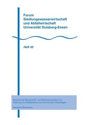 Kombinierte Wasserstoff- und Methanproduktion zur Nutzung von Abfallströmen auf kommunalen Kläranlagen von Brinkmann,  Benjamin