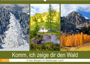 Komm, ich zeige dir den Wald (Wandkalender 2023 DIN A2 quer) von Kramer,  Christa