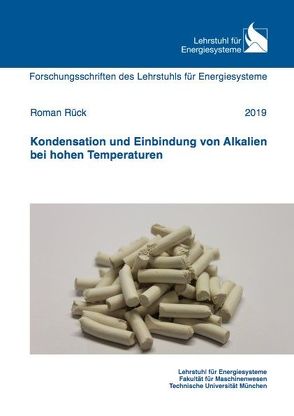 Kondensation und Einbindung von Alkalien bei hohen Temperaturen von Rück,  Roman