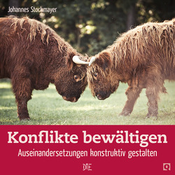 Konflikte bewältigen von Stockmayer,  Johannes