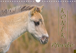 Konik-Pferde (Wandkalender 2021 DIN A4 quer) von Kulartz,  Rainer, Plett,  Lisa