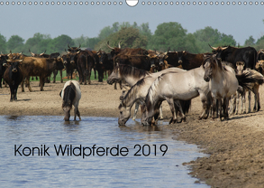 Konik Wildpferde 2019 (Wandkalender 2019 DIN A3 quer) von Gauger,  Jenny