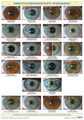 Konstitutionsorientierte Irisdiagnose von Garvelmann,  Friedemann