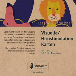 sensolern Visuelle/Hirnstimulation Karten 6-9 Monate von Sabbagh,  Lina