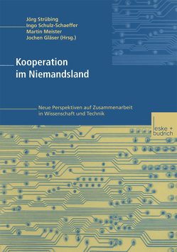 Kooperation im Niemandsland von Gläser,  Jochen, Meister,  Martin, Schulz-Schaeffer,  Ingo, Strübing,  Jörg