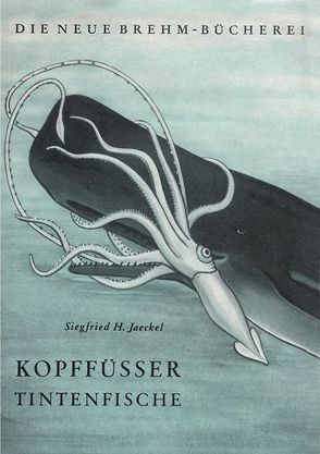 Kopffüßer von Jaeckel,  Siegfried