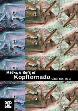 Kopftornado. Oder: Tick, Stein! von Markus,  Berger