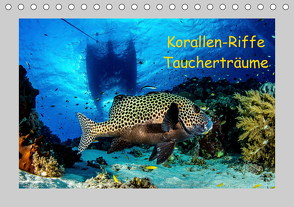 Korallen-Riffe Taucherträume (Tischkalender 2021 DIN A5 quer) von Caballero,  Sascha