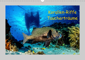 Korallen-Riffe Taucherträume (Wandkalender 2021 DIN A3 quer) von Caballero,  Sascha