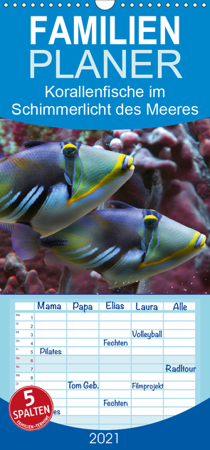 Korallenfische im Lichtschimmer des Meeres – Familienplaner hoch (Wandkalender 2021 , 21 cm x 45 cm, hoch) von Schmidbauer,  Heinz