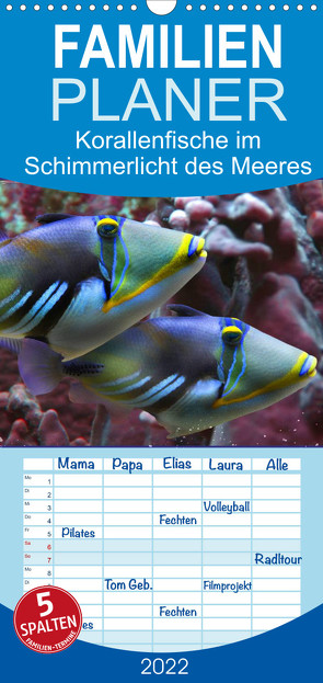 Familienplaner Korallenfische im Lichtschimmer des Meeres (Wandkalender 2022 , 21 cm x 45 cm, hoch) von Schmidbauer,  Heinz