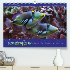 Korallenfische im Lichtschimmer des Meeres (Premium, hochwertiger DIN A2 Wandkalender 2021, Kunstdruck in Hochglanz) von Schmidbauer,  Heinz