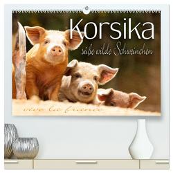 Korsika – süße, wilde Schweinchen (hochwertiger Premium Wandkalender 2024 DIN A2 quer), Kunstdruck in Hochglanz von Schöb,  Monika