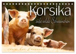 Korsika – süße, wilde Schweinchen (Tischkalender 2024 DIN A5 quer), CALVENDO Monatskalender von Schöb,  Monika