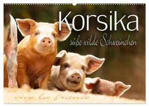 Korsika – süße, wilde Schweinchen (Wandkalender 2024 DIN A2 quer), CALVENDO Monatskalender von Schöb,  Monika