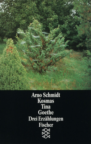 Kosmas Tina Goethe von Schmidt,  Arno