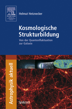 Kosmologische Strukturbildung von Hetznecker,  Helmut