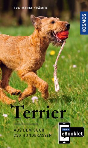 KOSMOS eBooklet: Terrier – Ursprung, Wesen, Haltung von Krämer,  Eva-Maria