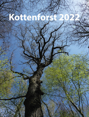 Kottenforst 2022 von Hensgen,  Anne