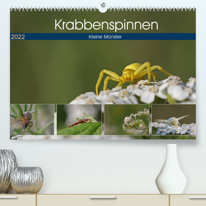 Krabbenspinnen – Kleine Monster (Premium, hochwertiger DIN A2 Wandkalender 2022, Kunstdruck in Hochglanz) von juehust