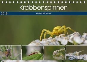 Krabbenspinnen – Kleine Monster (Tischkalender 2019 DIN A5 quer) von juehust