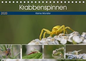 Krabbenspinnen – Kleine Monster (Tischkalender 2020 DIN A5 quer) von juehust