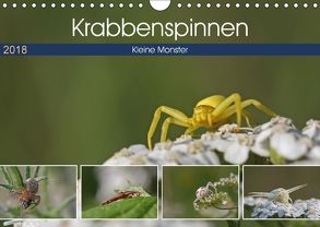 Krabbenspinnen – Kleine Monster (Wandkalender 2018 DIN A4 quer) von juehust