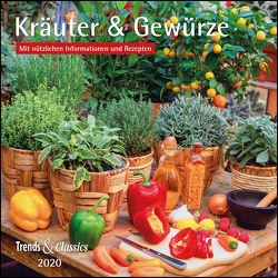 Kräuter & Gewürze 2020 – Broschürenkalender – Wandkalender – mit herausnehmbarem Poster und Rezepten – Format 30 x 30 cm von DUMONT Kalenderverlag, Grothe,  Bärbel