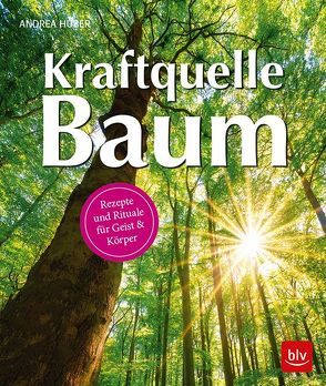 Kraftquelle Baum von Huber,  Andrea