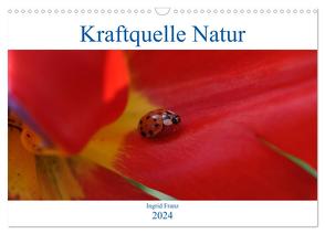 Kraftquelle Natur (Wandkalender 2024 DIN A3 quer), CALVENDO Monatskalender von Franz,  Ingrid