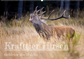 Krafttier Hirsch (Wandkalender 2022 DIN A2 quer) von Johann,  Schörkhuber