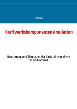 Kraftwerkskomponentensimulation von Braun,  Jost