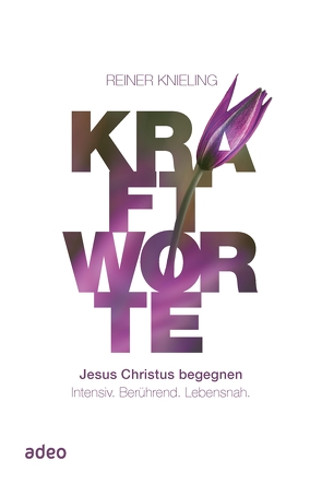 Kraftworte – Jesus Christus begegnen. von Knieling,  Reiner