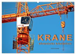 Krane – bärenstarke Arbeitstiere (Wandkalender 2024 DIN A2 quer), CALVENDO Monatskalender von Roder,  Peter